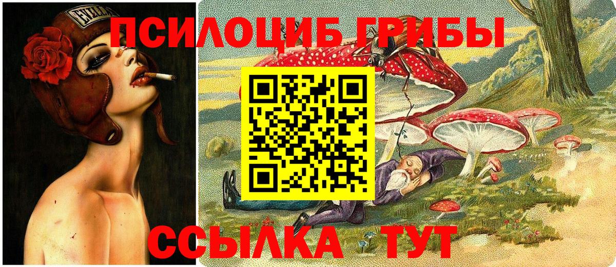 Галлюциногенные грибы прущие грибы Северск