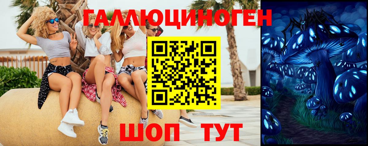 Северск  наркота  Вход с VPN  Псилоцибиновые грибы GOLDEN TEACHER 